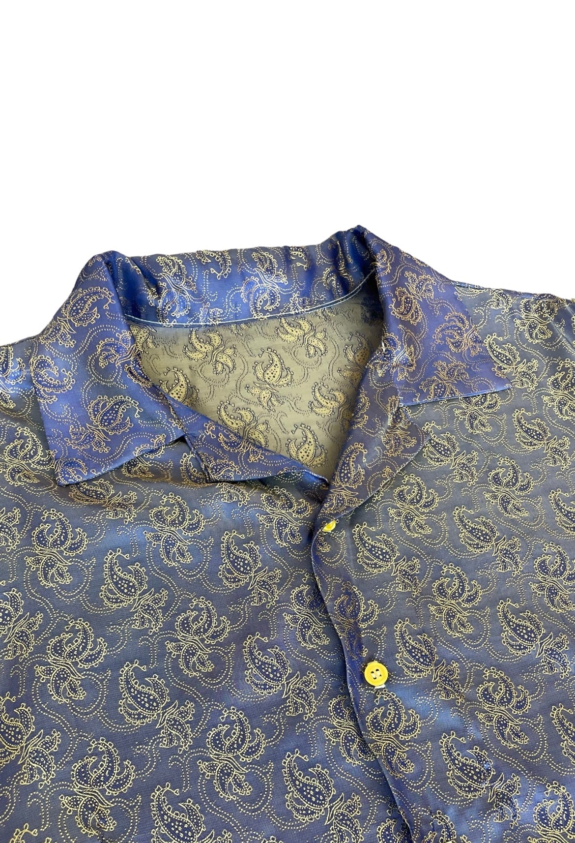 Iridescent Blue Paisley Silk Button Down